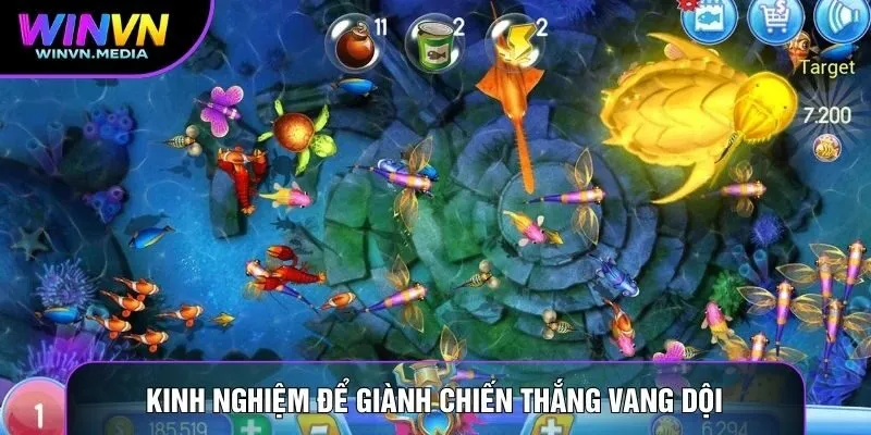 Kinh nghiệm để giành chiến thắng vang dội